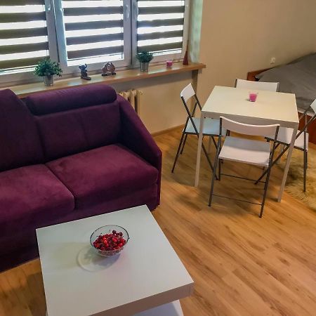 Cosy Studio In Quiet Location Pulawy Exterior photo