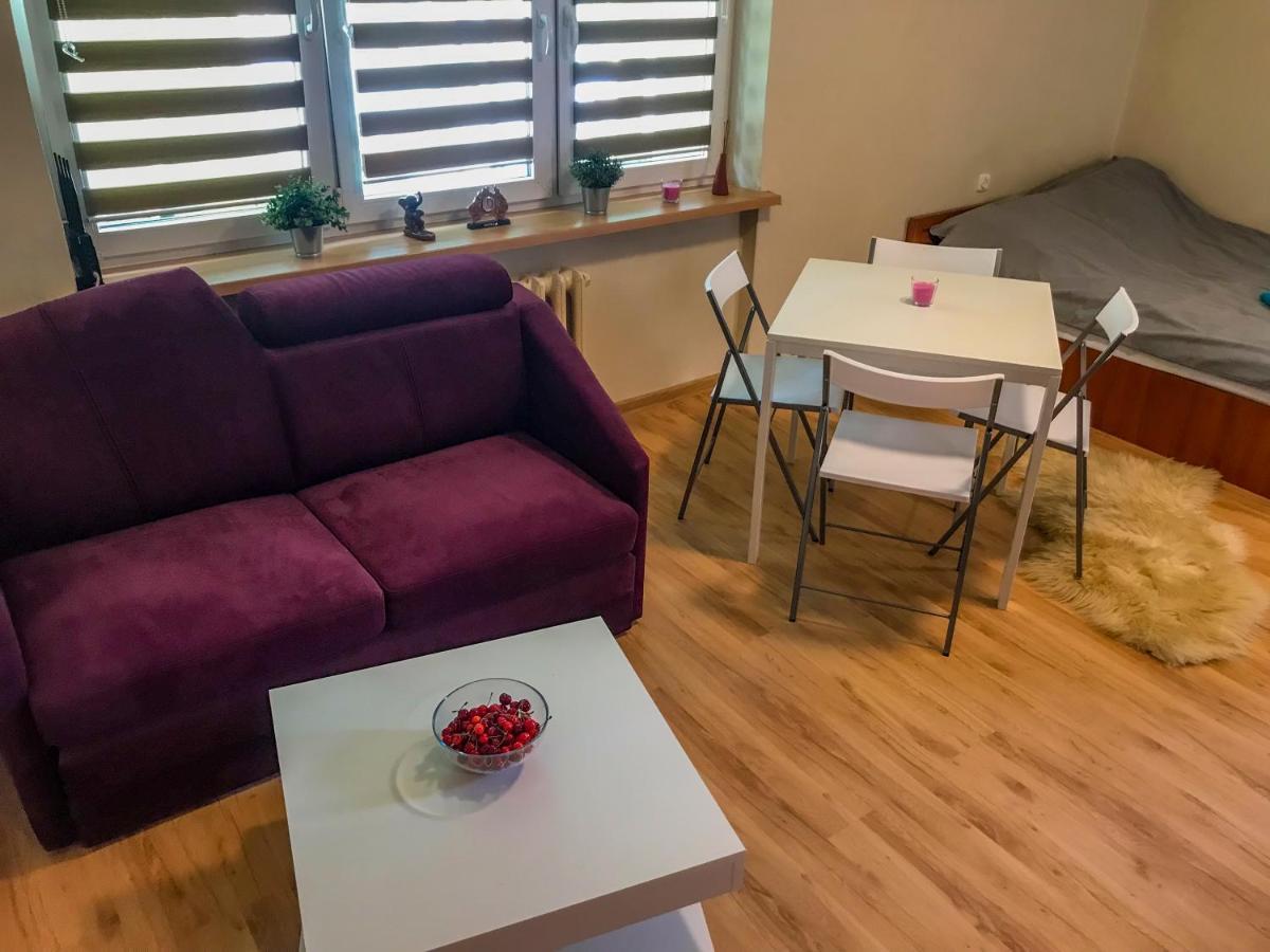 Cosy Studio In Quiet Location Pulawy Exterior photo